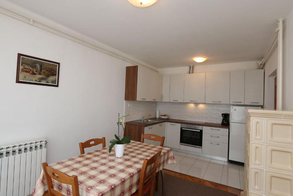 Kuchyň nebo kuchyňský kout v ubytování Apartments Grskovic G. Jesenovica