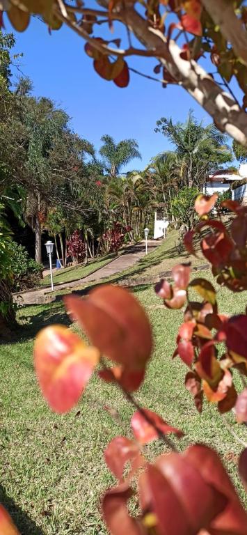  Pousada Barão do Javary