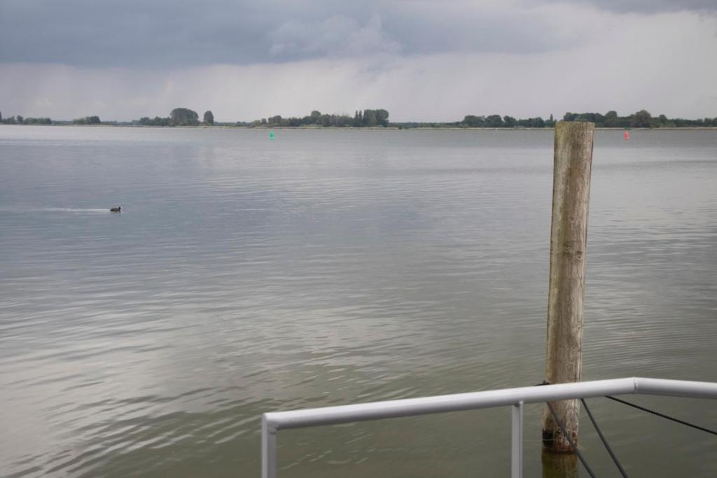 Příroda nedaleko ubytování na lodi