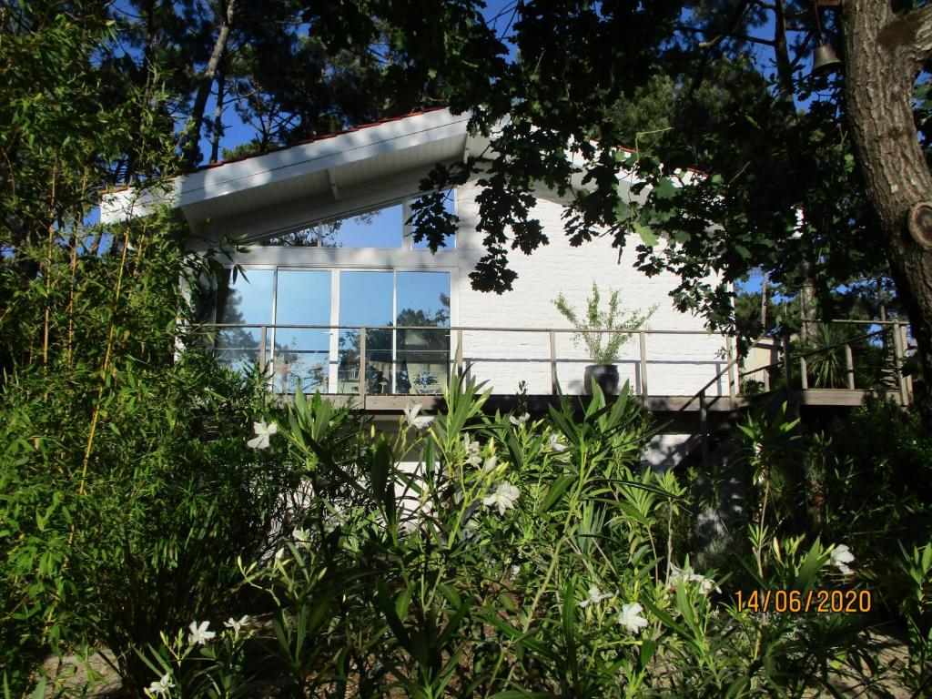 ein Haus mit einem großen Fenster und Bäumen in der Unterkunft une maison lumineuse sous les pins in Le Canon
