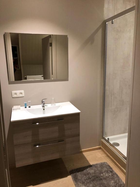 Koupelna v ubytování B&B De Dulle Koe