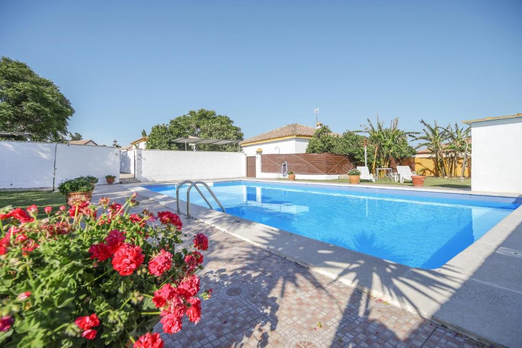 ein Pool mit Blumen neben einem Haus in der Unterkunft Los paraisos 3 in Conil de la Frontera