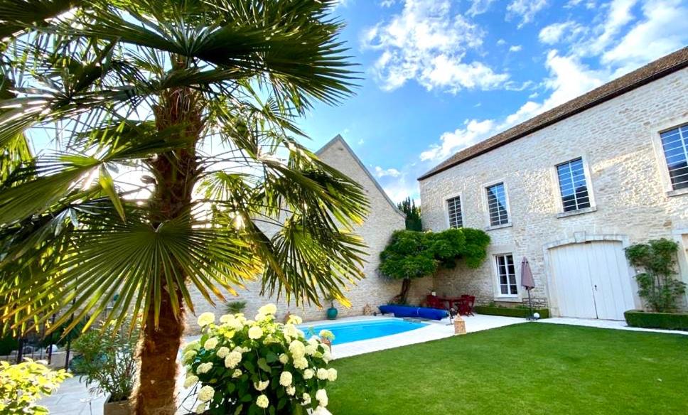 una palmera frente a una casa con piscina en "LE JARDIN" Chambre de charme, piscine à Meursault, en Meursault