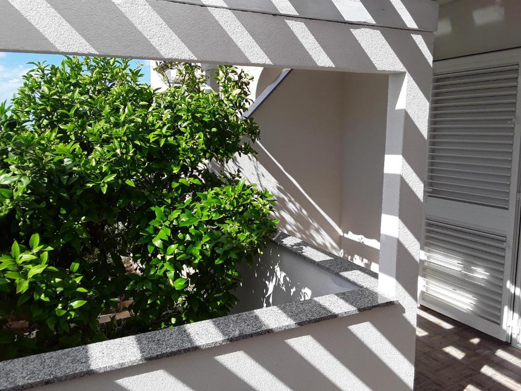 BenJak Apartments photo