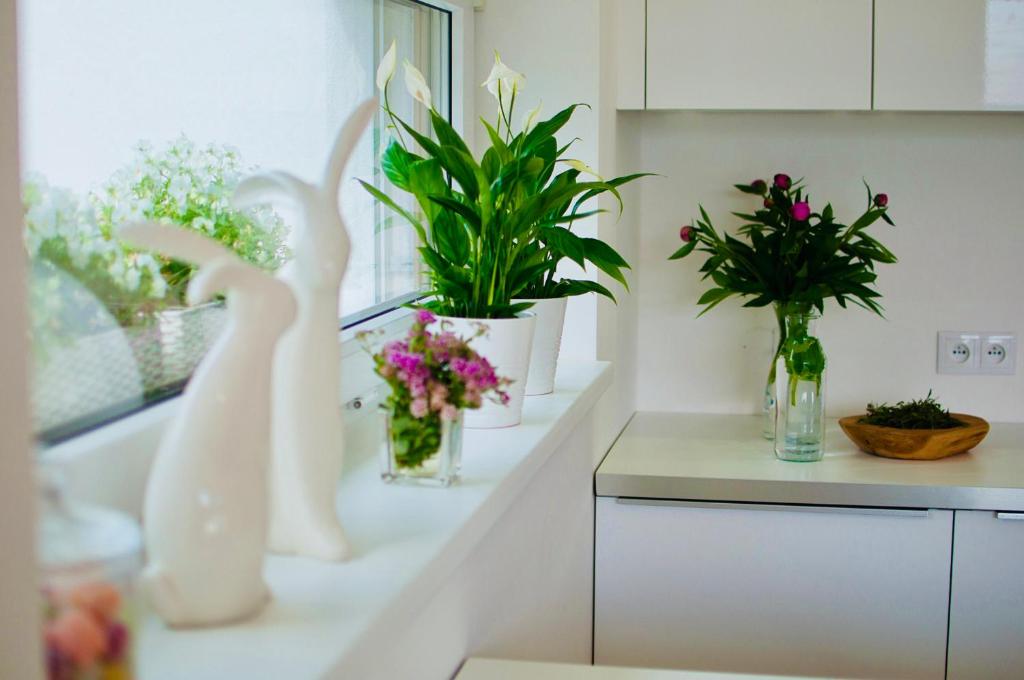 eine Küche mit Vasen aus Blumen und Pflanzen auf der Theke in der Unterkunft Vila Martina in Popůvky