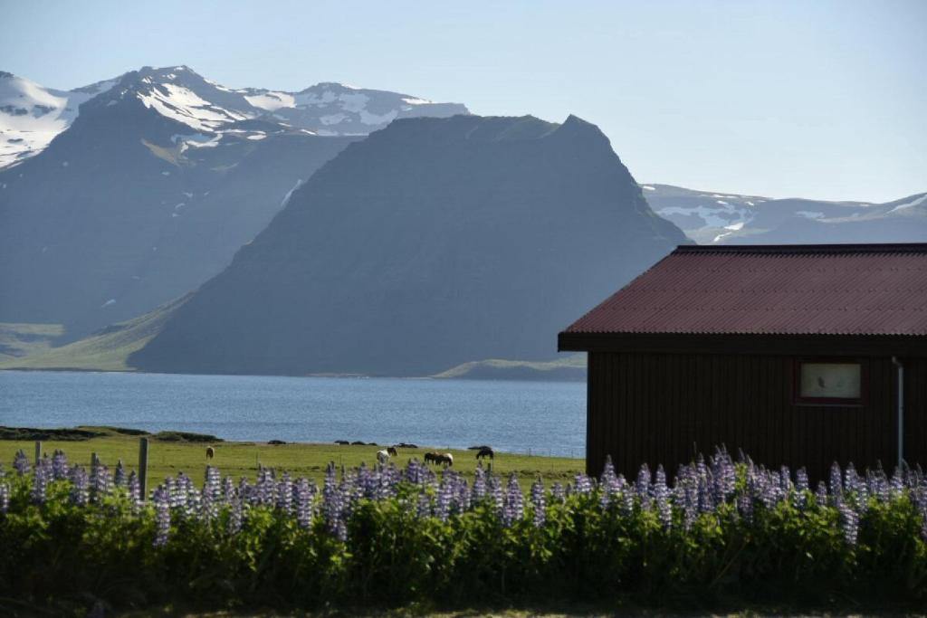 Náttúran í nágrenni bændagistinga