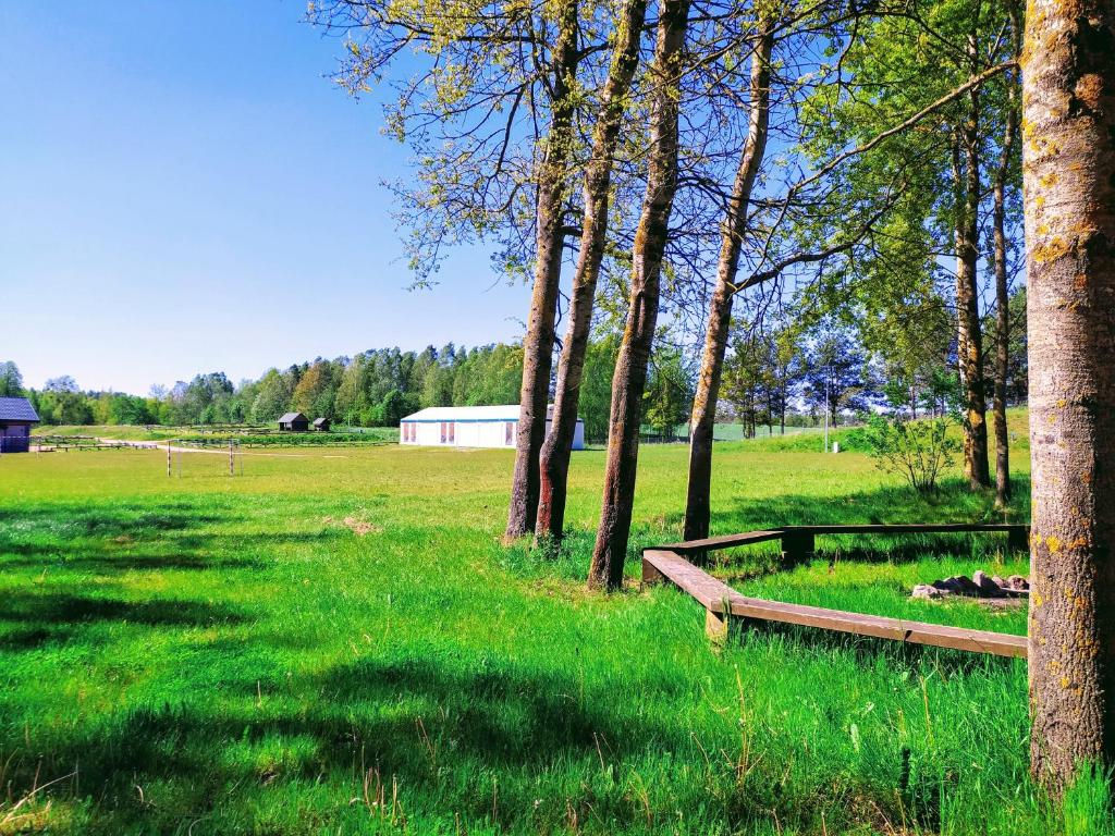 a park with a bench in a field with trees at Camping Bartbo in Olsztyn