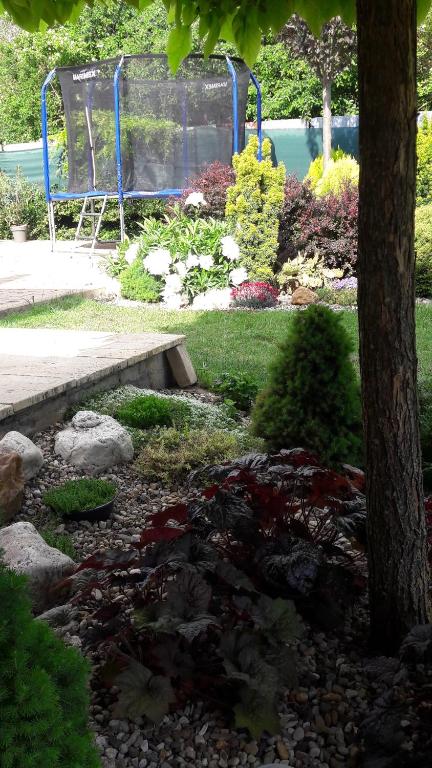 Zahrada ubytování Vilka Relax