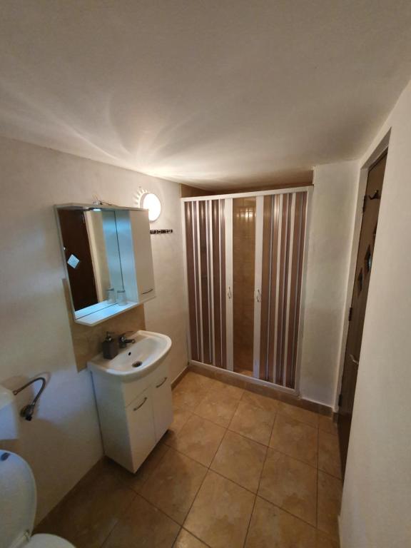 Pensiunea Ilea - Chambre Double Avec Salle De Bain Privée