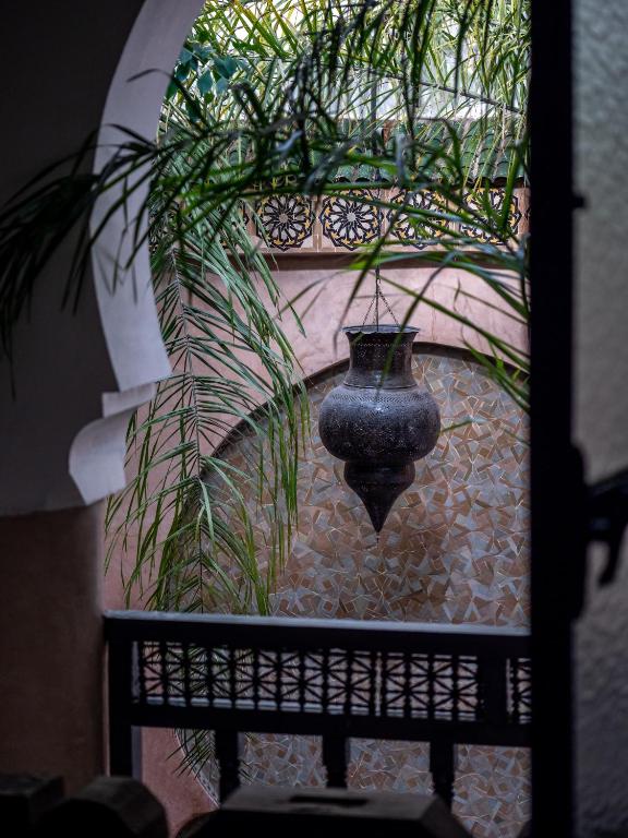 Zahrada ubytování Riad Mur Akush