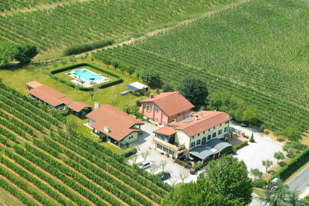 an aerial view of a house in a vineyard at Agriturismo Lizzarola in Peschiera del Garda