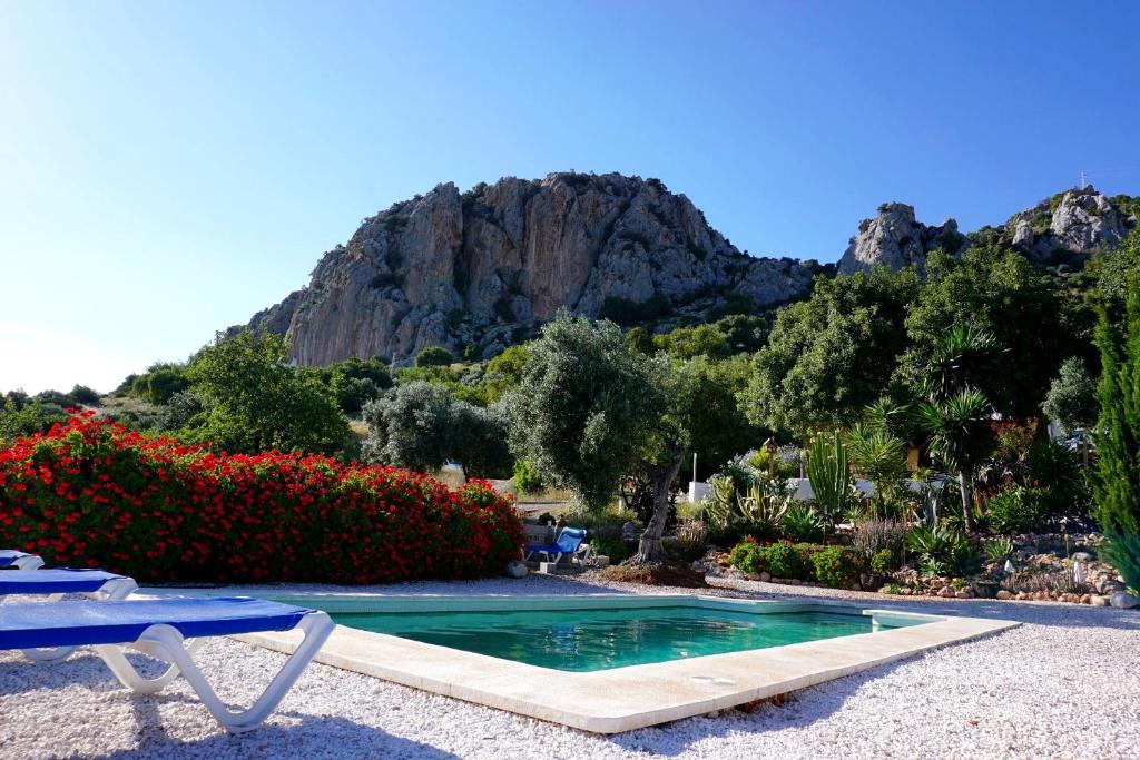 a swimming pool with chairs and a mountain in the background at Olive Branch El Chorro in El Chorro
