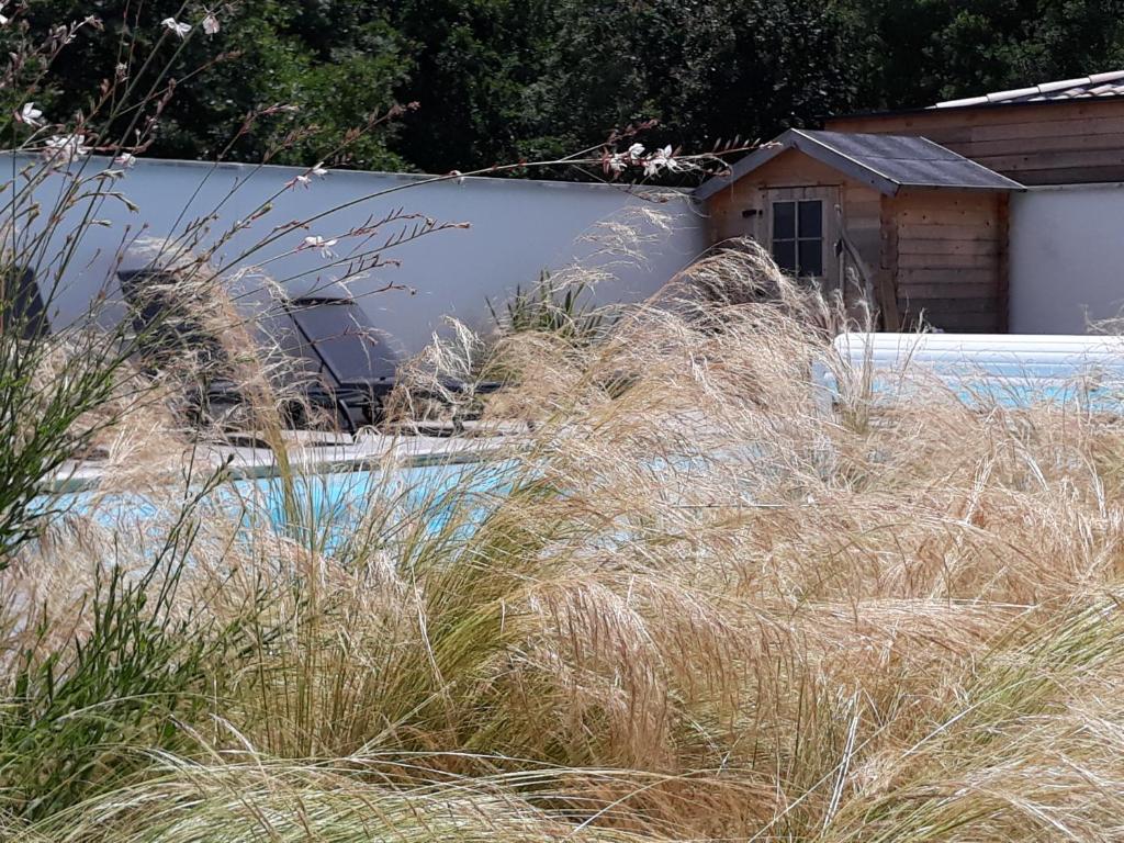 un champ d'herbe haute devant un bâtiment dans l'établissement Villa de Gascogne, à Lanton