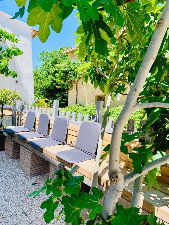 une rangée de chaises assises sur un banc sous un arbre dans l'établissement Haut de villa entre mer et campagne, à Hyères