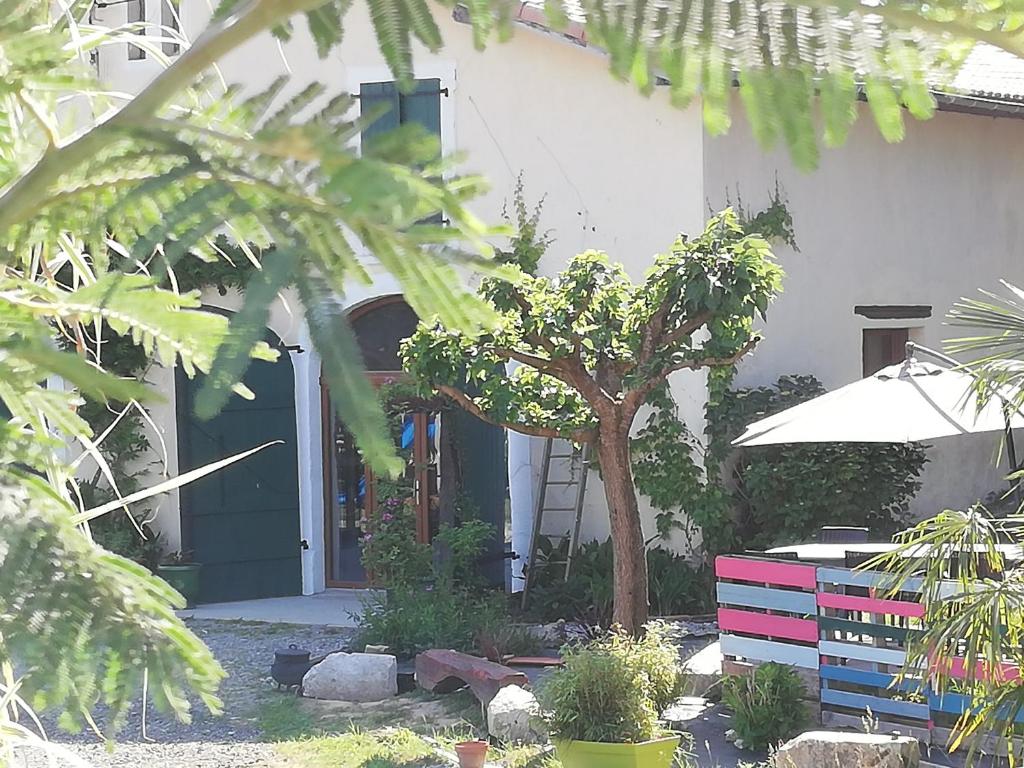 a house with a door and a tree in front of it at gite Pedelucq in Pouillon