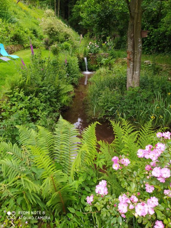 un jardín con flores rosas y un arroyo en L'Atelier de Gisèle, en Oberhaslach