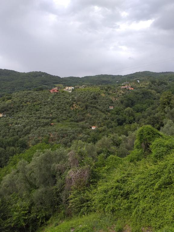 Zdjęcie z galerii obiektu CASA di VECCHIO BORGO w mieście Sarzana