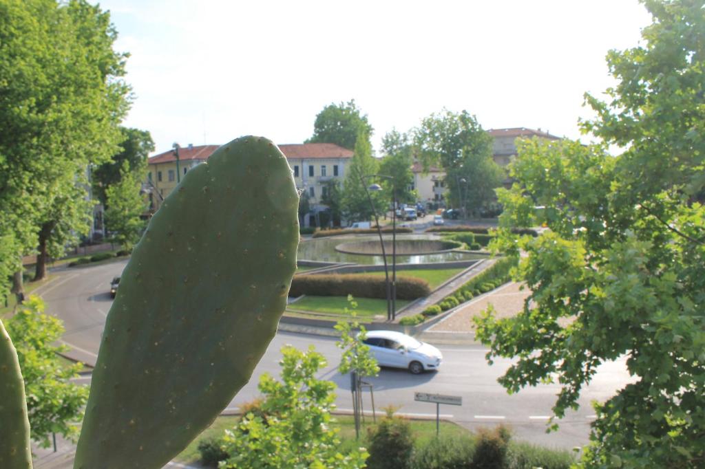 Okolí bed and breakfast