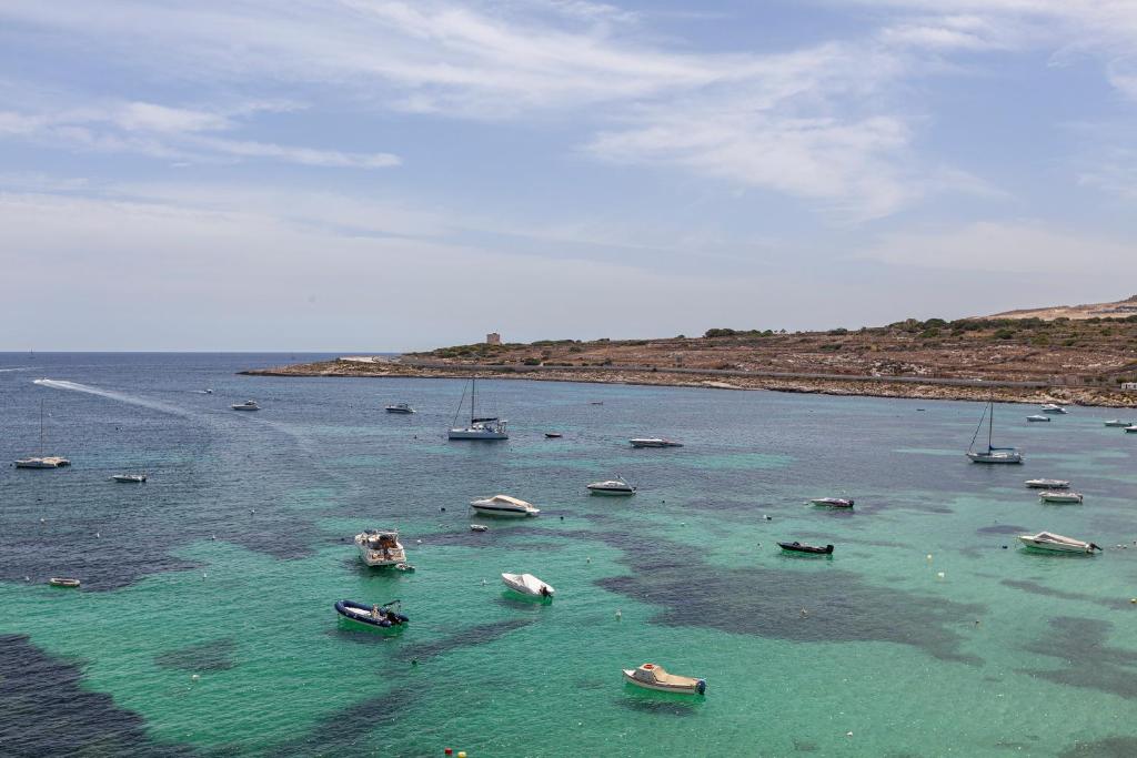 un gruppo di imbarcazioni in un grande bacino idrico di Z4 - SEAFRONT apartment a San Pawl il-Baħar