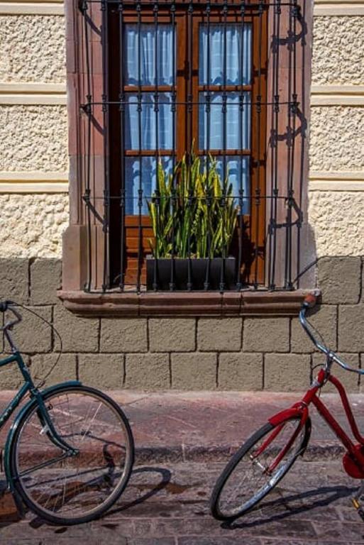 Jízda na kole v ubytování Casa Aspeytia Hotel Boutique nebo okolí