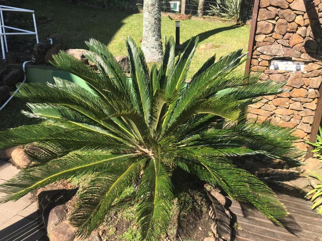  Apartamento Centro Gramado Village