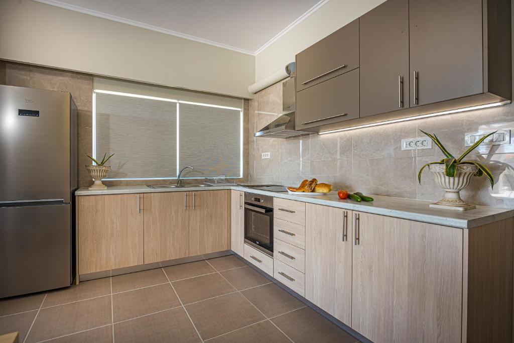 Kuchyň nebo kuchyňský kout v ubytování Metsovo Big Apts