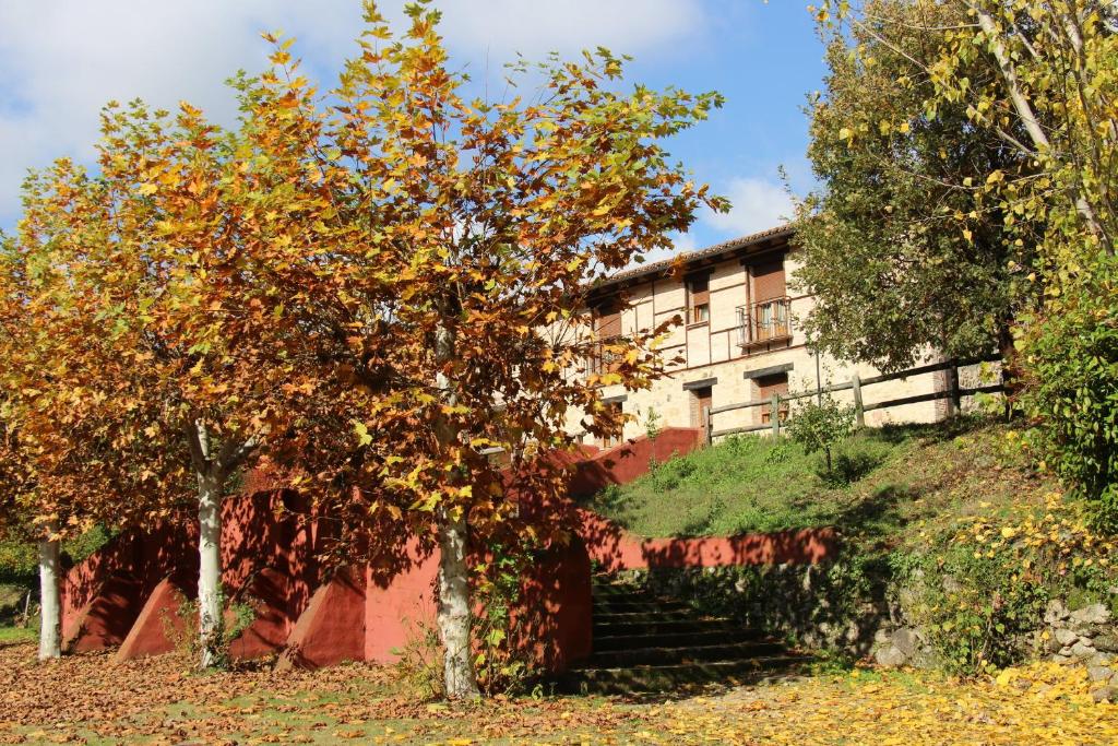 Zahrada ubytování Hostel El Lago, Caceres