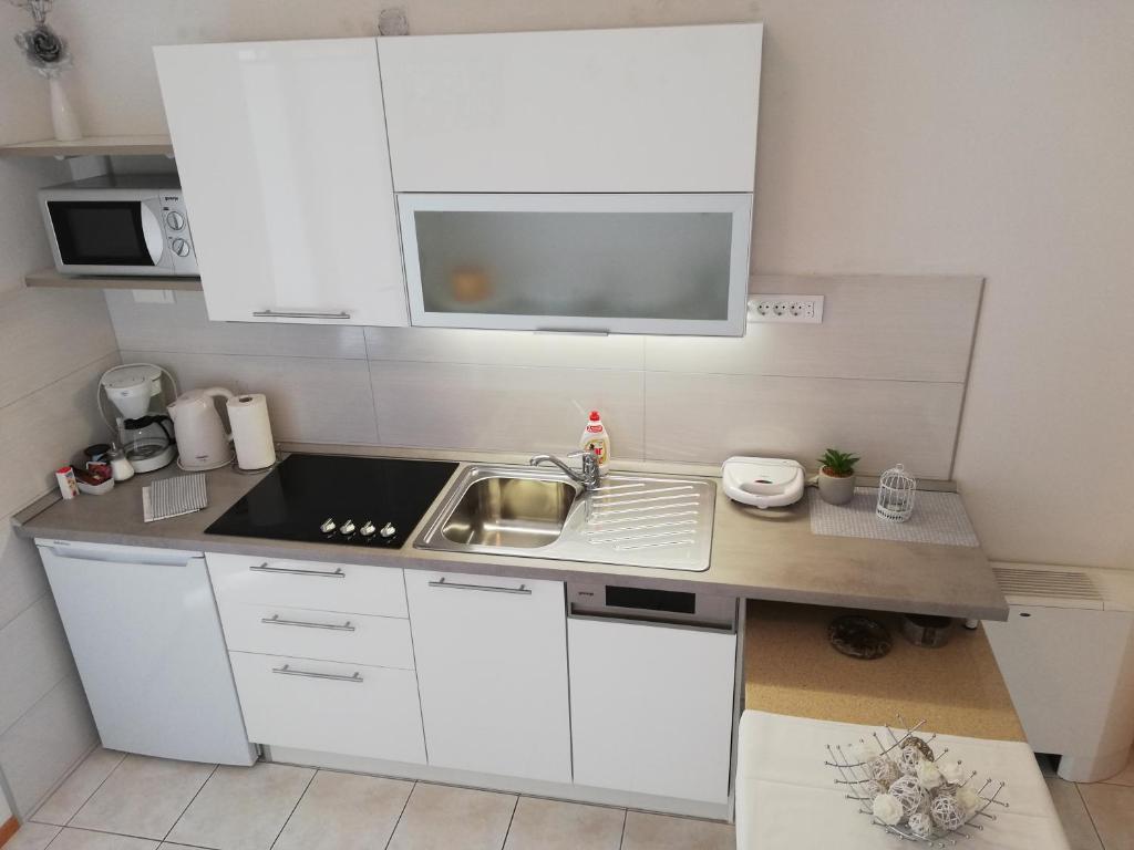 Kuchyň nebo kuchyňský kout v ubytování Studio Apartments Regina
