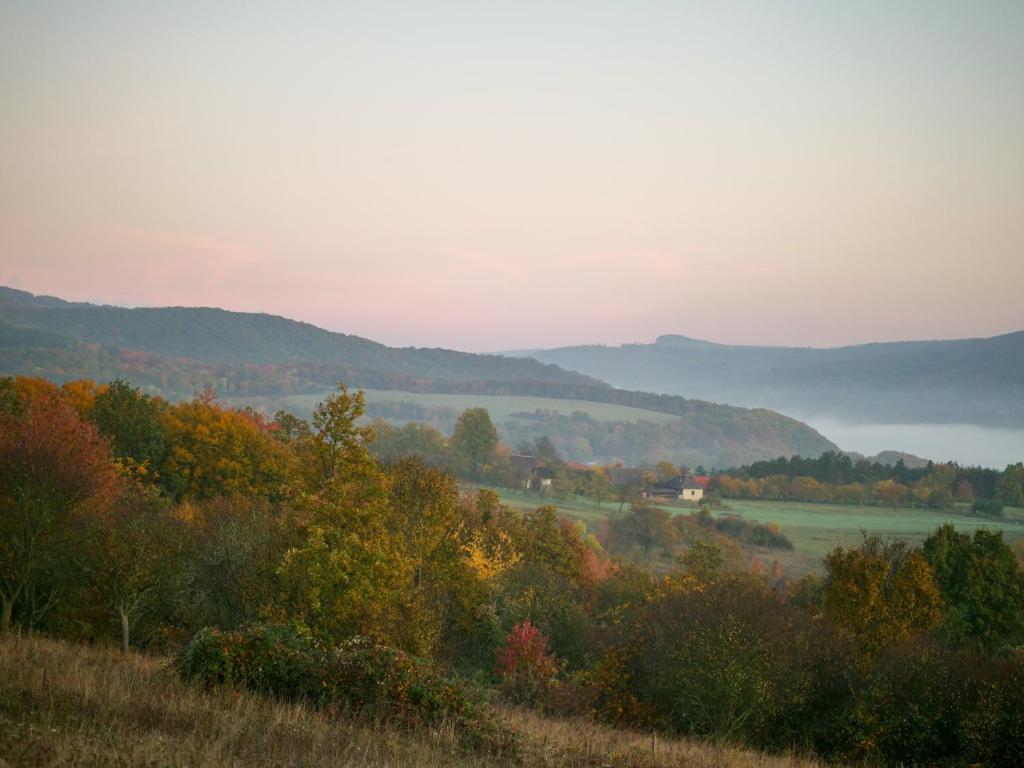 Příroda nedaleko kempu