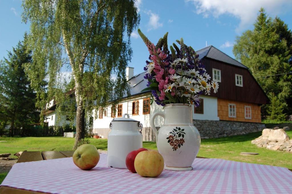 een tafel met appels en een vaas en bloemen erop bij Chalupa Nový Svět na Šumavě in Borová Lada