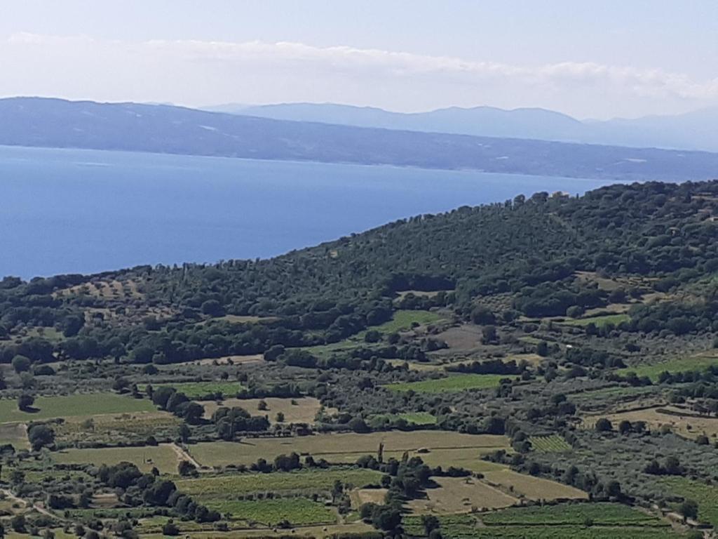 Fotografia z galérie ubytovania Belvedere v destinácii Montefiascone