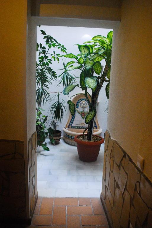 Ogród w obiekcie Hostal Costa De La Luz