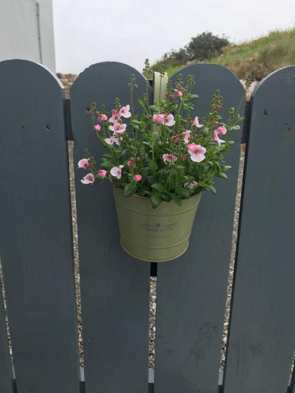 a pot of flowers hanging on a gate at Village Way Apartments in Kincasslagh