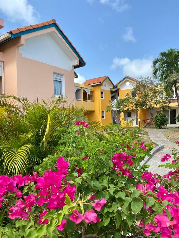 un giardino con fiori rosa di fronte a una casa di Superbe studio de standing à 800m de la mer des Caraïbes le hameau de beauregard sainte anne a Sainte-Anne