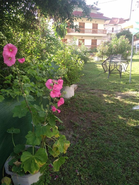 Zahrada ubytování Pension Olympus