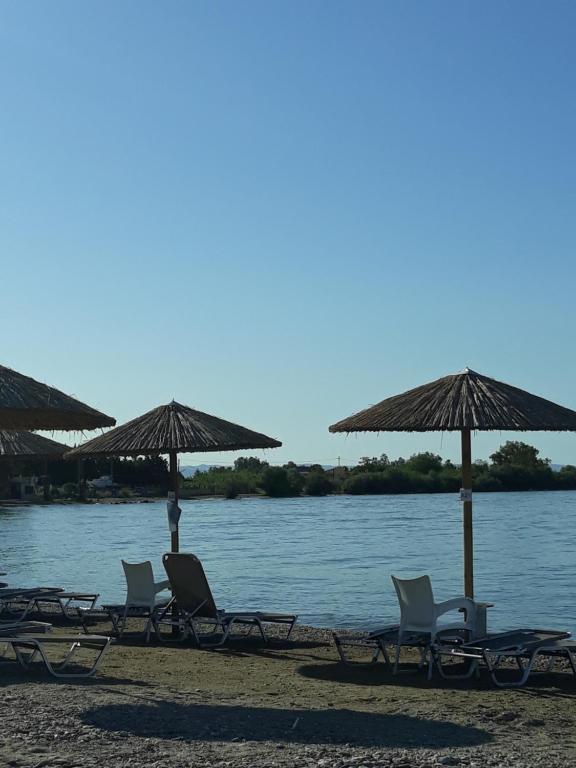 Táj Show holiday homes közelében