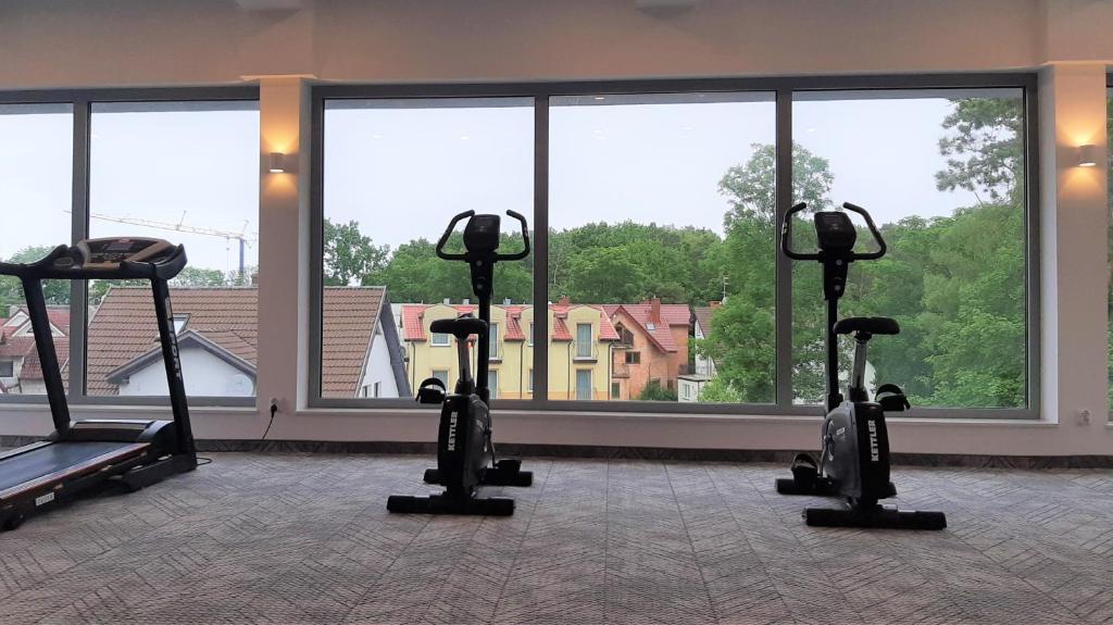 Fitness centrum a/nebo fitness zařízení v ubytování Hotel SKAL Medi SPA & Resort