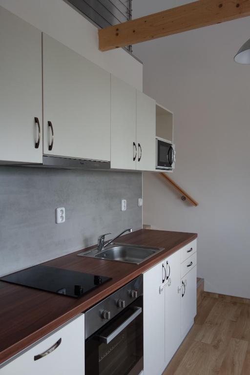 Apartment Bed & Breakfast Brno - Appartement Met Terras