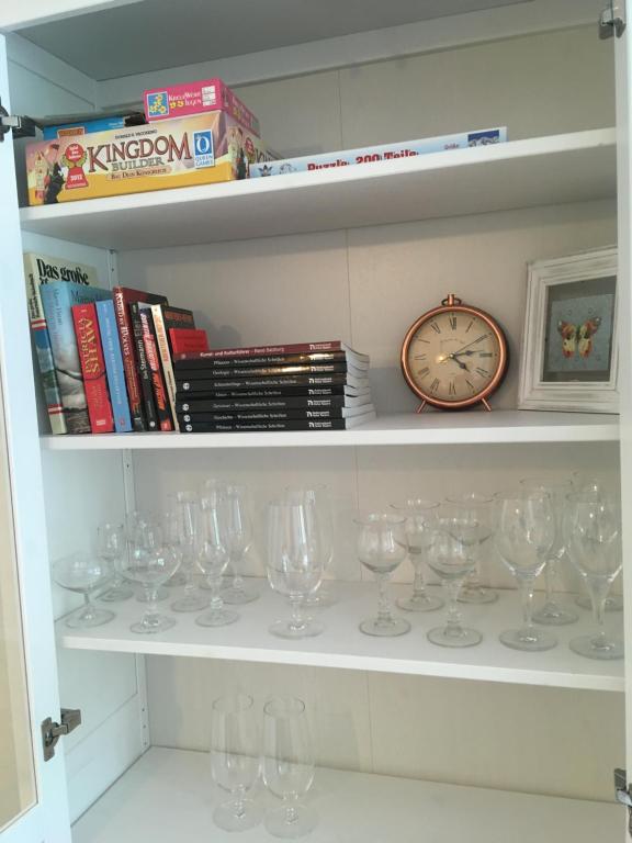 The library in Az apartmant