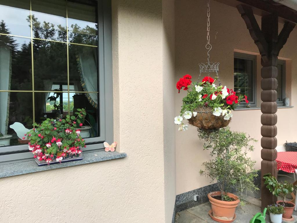 Aed väljaspool majutusasutust Ferienwohnung Prüfer