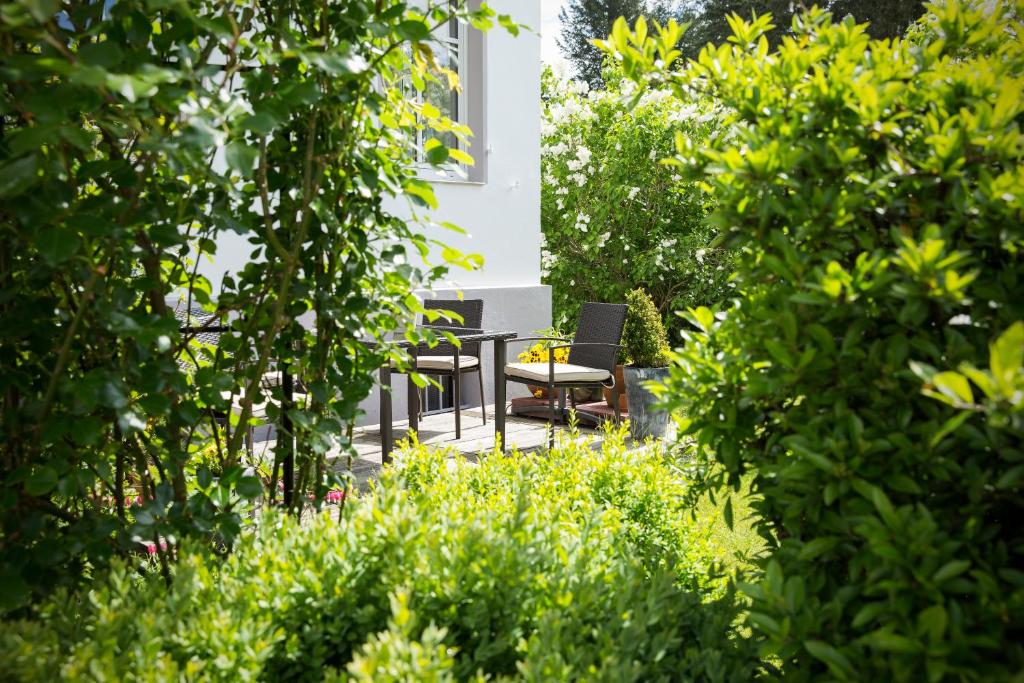 Zahrada ubytování Villa Siegfried