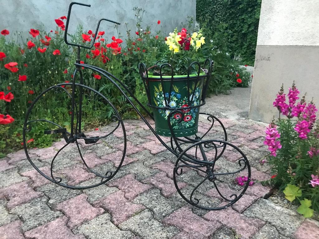 Zahrada ubytování Gîte du Parc des Mauves