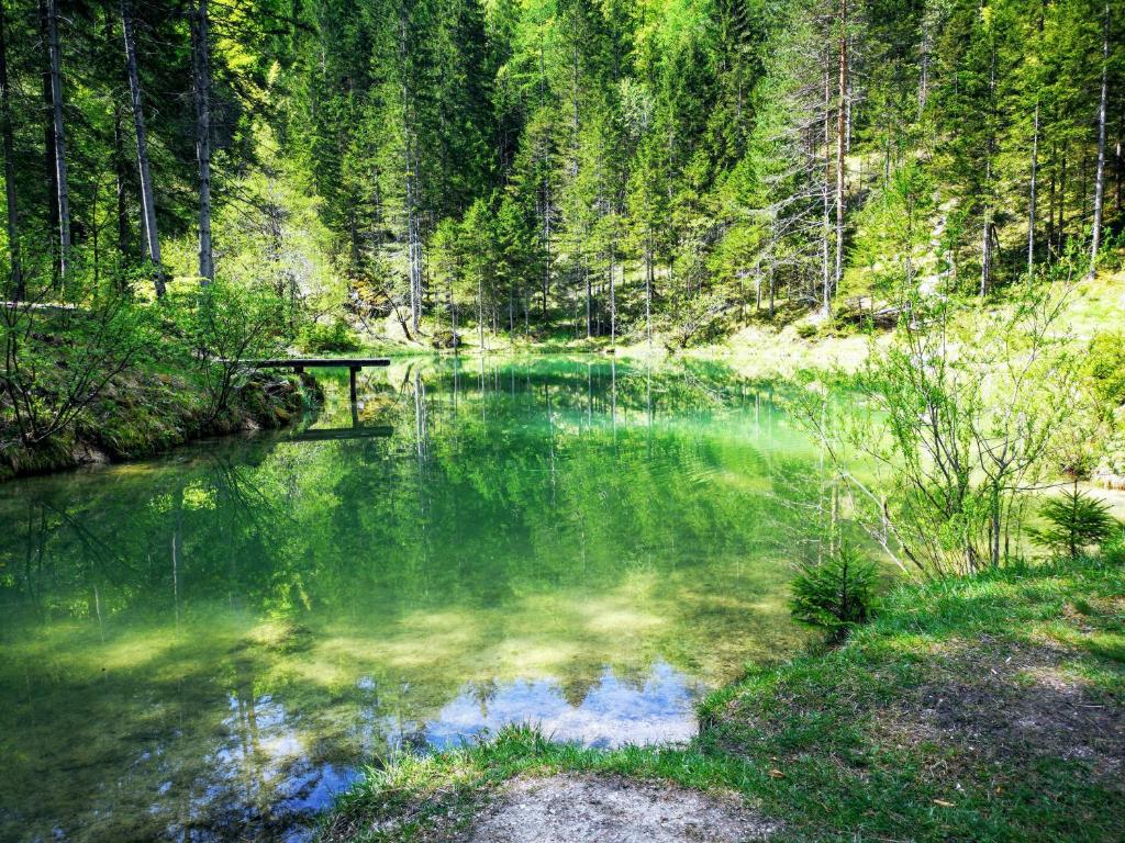 Příroda nedaleko apartmánu
