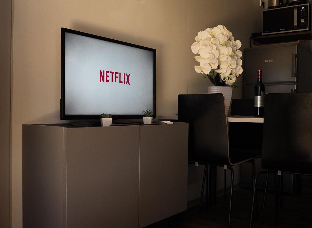 TV a/nebo společenská místnost v ubytování Lux Camp Bi Village, Mobile home Villa Buba