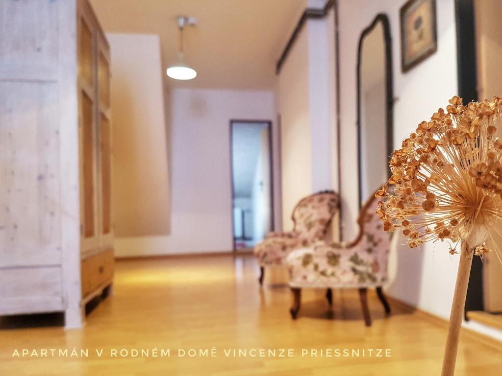 Fotografie z fotogalerie ubytování Apartmá v Rodném domě Vincenze Priessnitze v centru lázní v Jeseníku