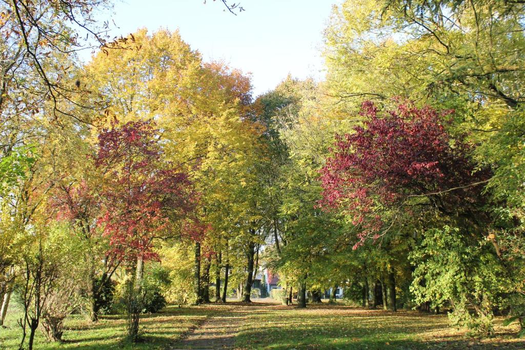 eine Reihe von Bäumen in einem Park im Herbst in der Unterkunft Hotel Pension Haus Stork in Holzhausen