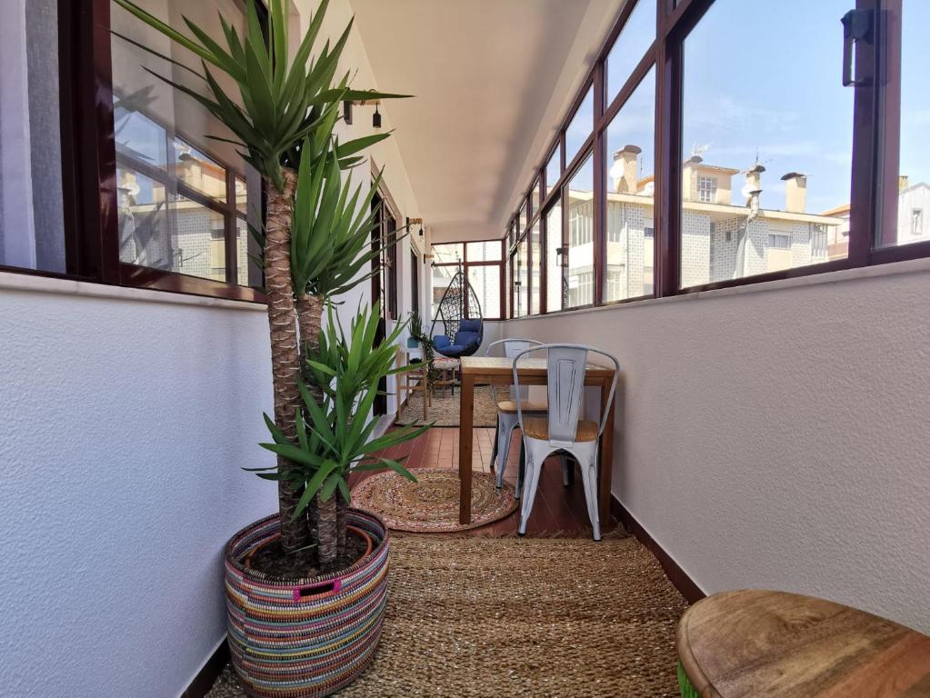 einen Balkon mit einem Tisch und einer Topfpflanze in der Unterkunft Coronel Pacheco 42 - Porto in Porto