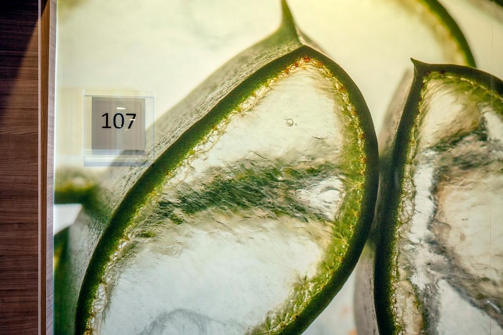 Insel Hotel Bonn - Superior - Resim 38