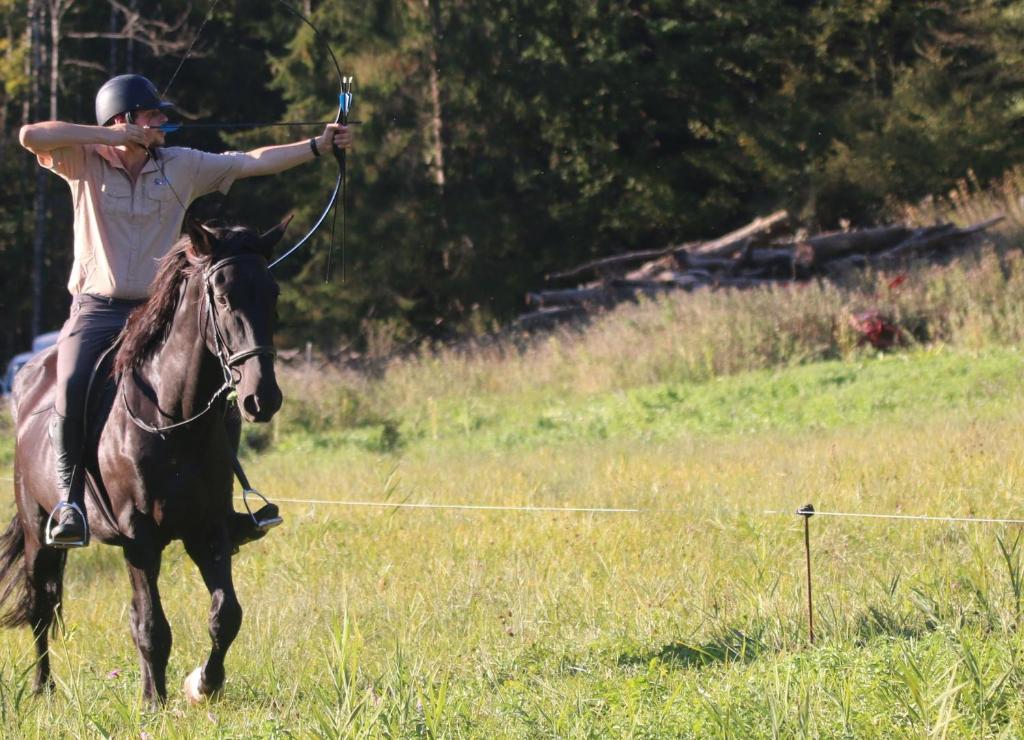 een man op een paard met pijl en boog bij Parc animalier du Hérisson in Doucier