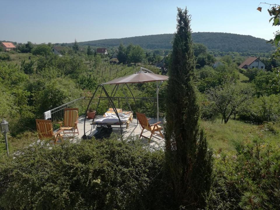 Príroda v okolí dovolenkového domu